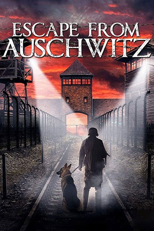 The Escape from Auschwitz (2020) poster