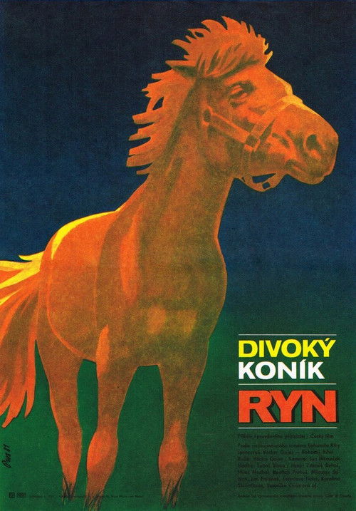 Divoký koník Ryn (1982) poster