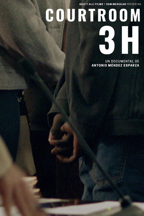 Courtroom 3H (2020) poster