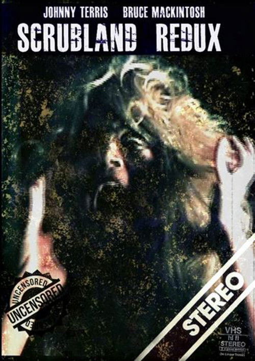 Stardust Redux (2012) poster