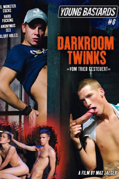 Young Bastards 6: Darkroom Twinks (2013) poster