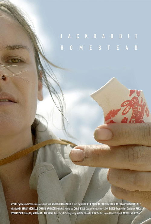 Jackrabbit Homestead (2024) poster