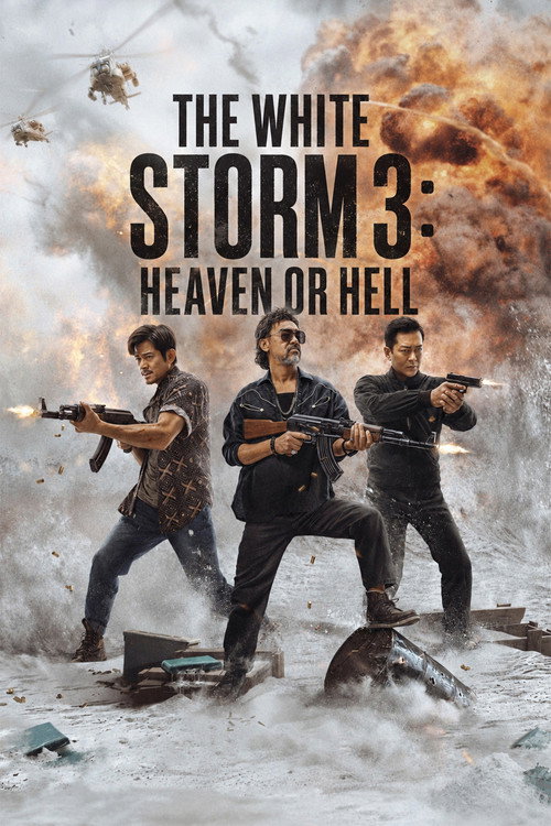 掃毒3︰人在天涯 (2023) poster