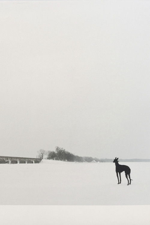 Pavasaris (1997) poster