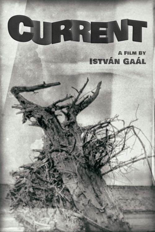 Current (1964) poster