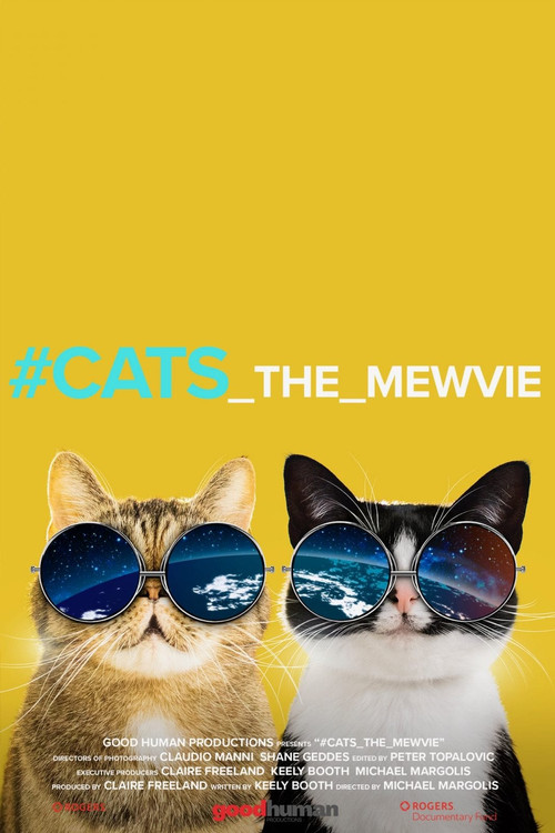 #cats_the_mewvie (2020) poster