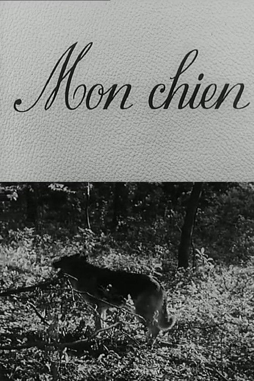 Mon chien (1955) poster