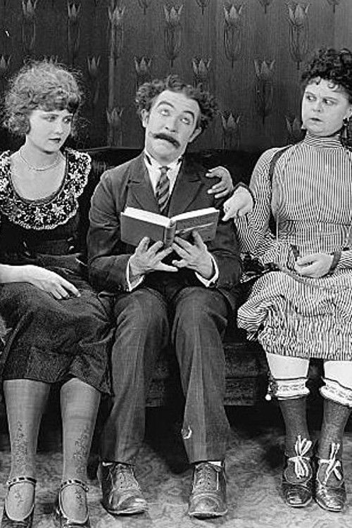 Astray from the Steerage (1921) poster