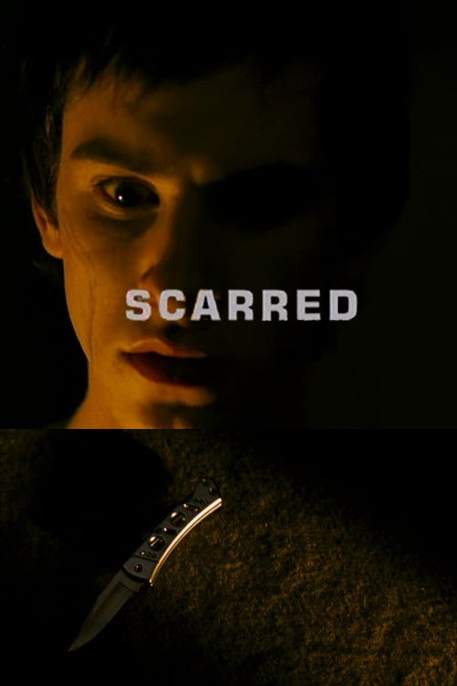 Scarred (2007) poster