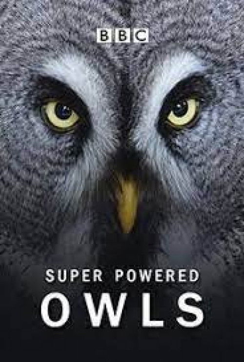 Super Powered Owls (2015) poster