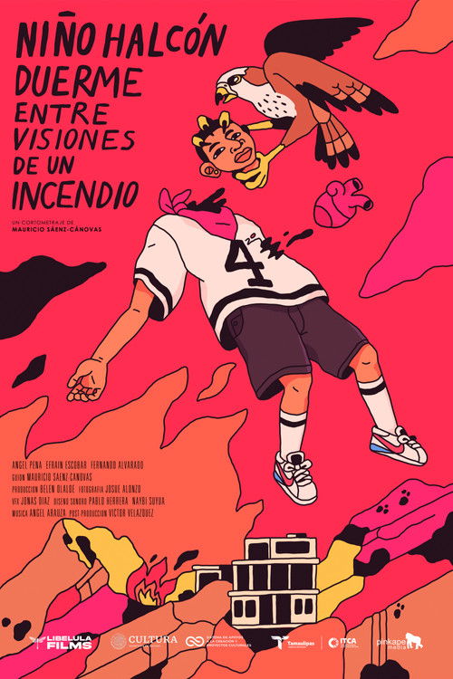 Hawk Boy Sleeps Amidst Visions of a Fire (2024) poster