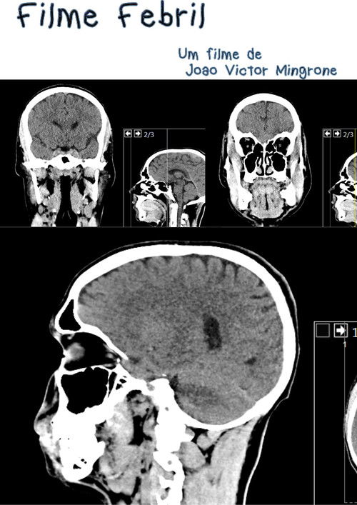 Filme Febril (2025) poster