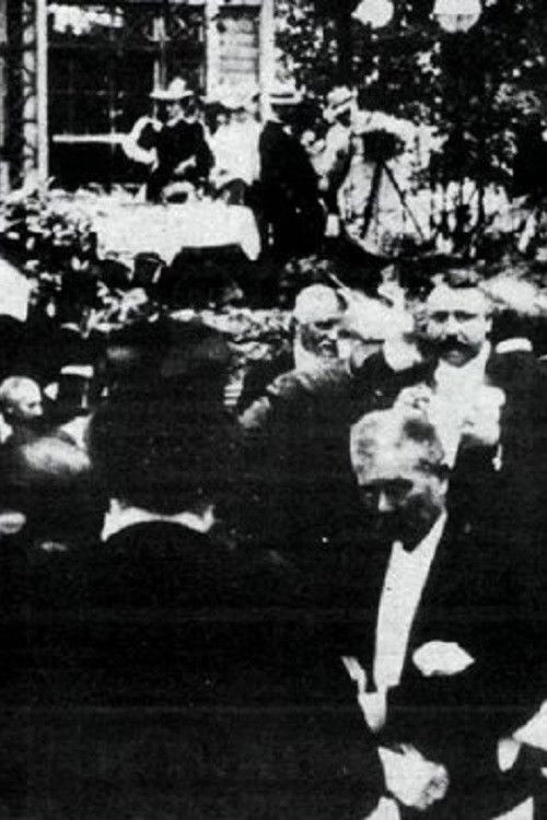 The Icelandic Althing Visits Copenhagen (1906) poster