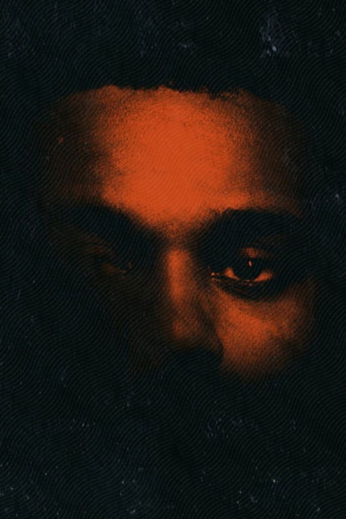 He Was Never There, Docupoem (2018) poster