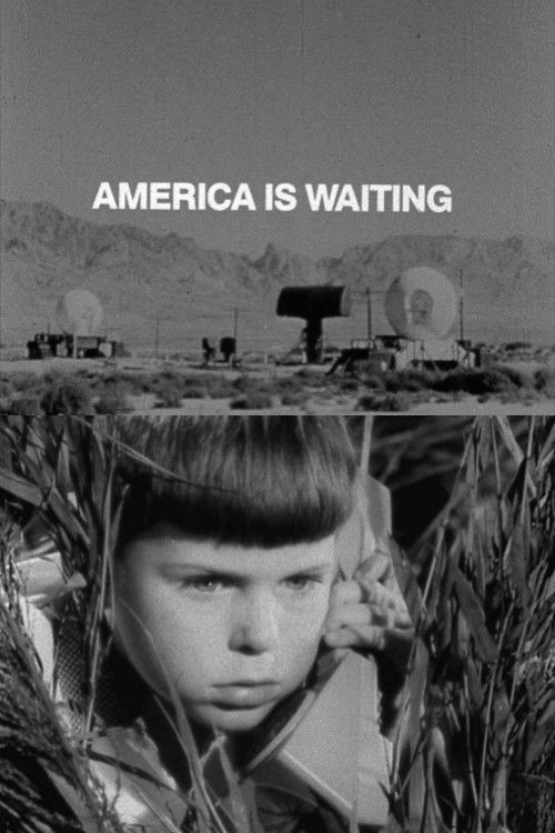 America Is Waiting (1981) poster