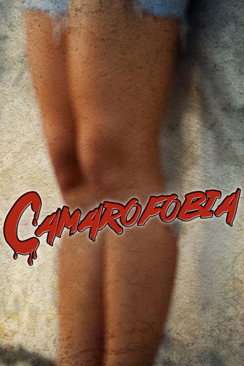Camarofobia (2013) poster