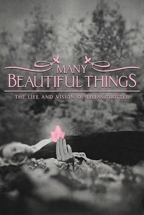 Many Beautiful Things (2015) poster