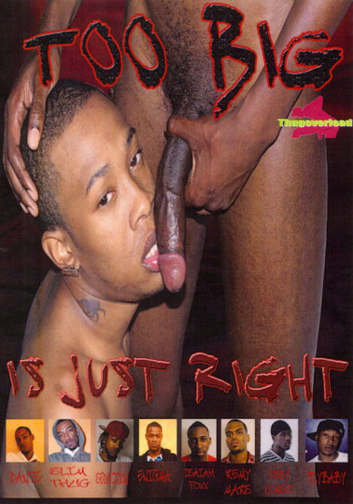 Too Big Is Just Right (2010) poster