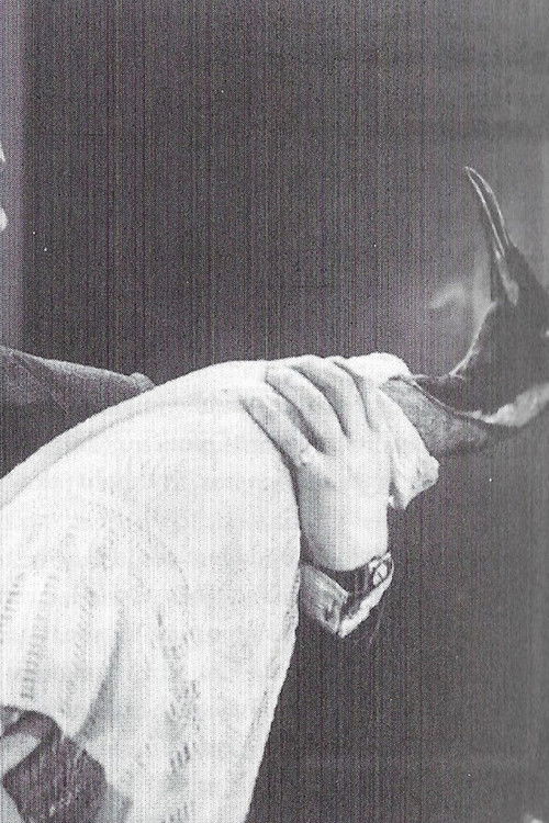 To Brighton with Gladys (1933) poster