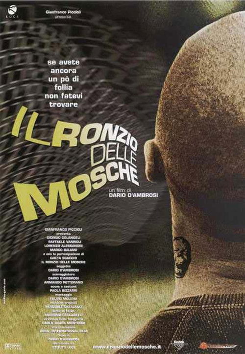 Il ronzio delle mosche (2003) poster