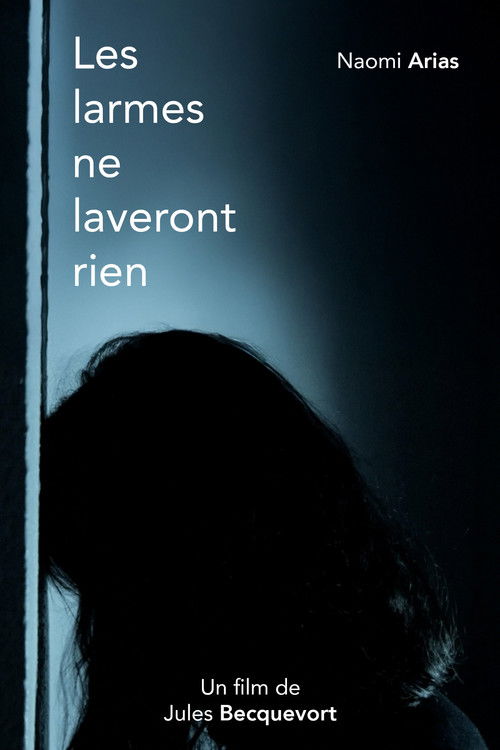 Les larmes ne laveront rien poster