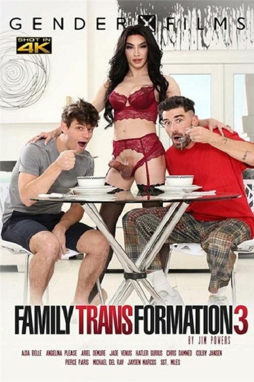 Family Transformation 3 (2022) poster