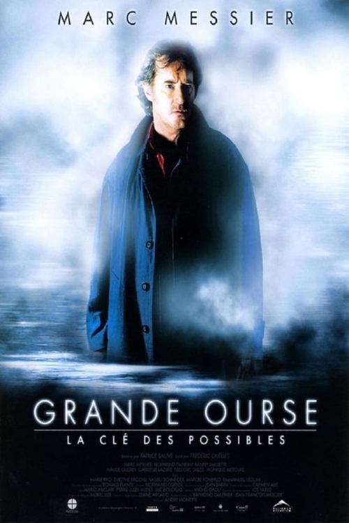 Grande ourse : La clé des possibles (2009) poster