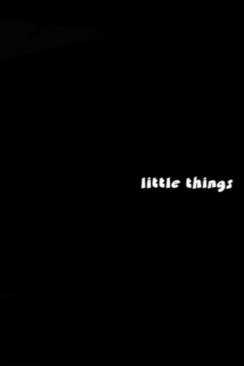 Little Things (2004) poster