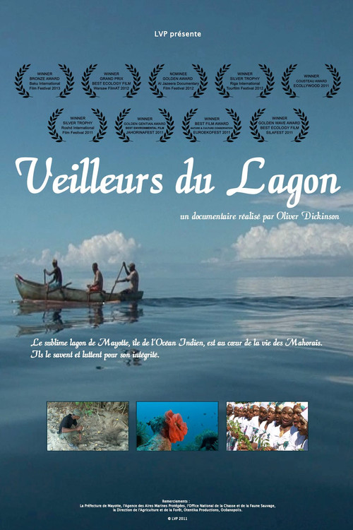 Caring for the Lagoon (2011) poster