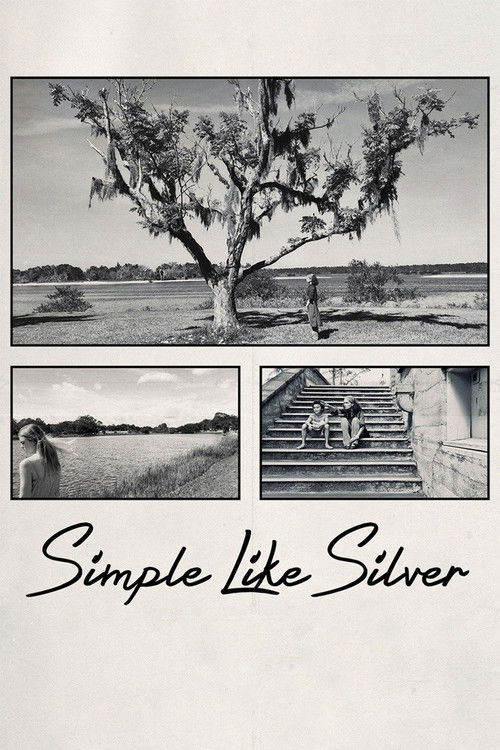 Simple Like Silver (2021) poster