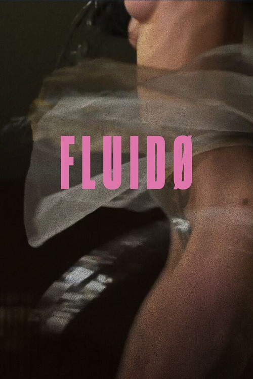 Fluidø (2017) poster