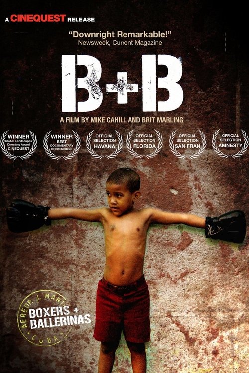 Boxers and Ballerinas (2004) poster