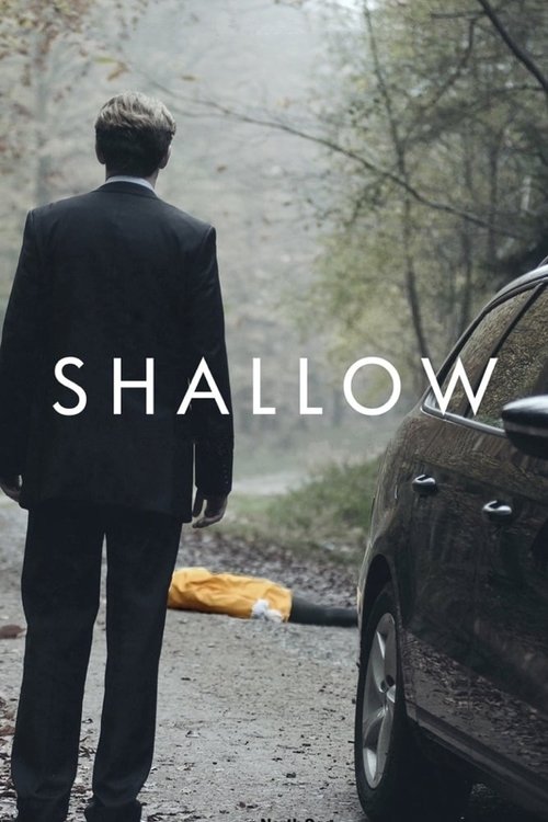 Shallow (2012) poster