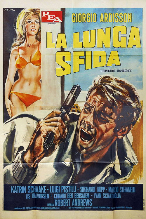 La lunga sfida (1967) poster