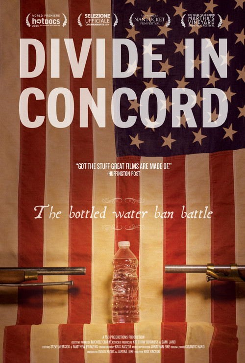 Divide In Concord (2014) poster