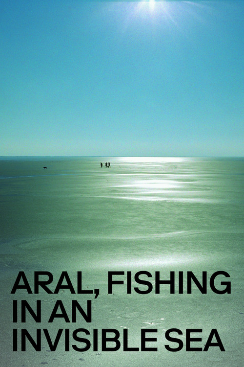 Aral, Fishing in an Invisible Sea (2004) poster