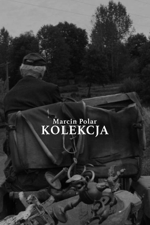 Collection (2017) poster