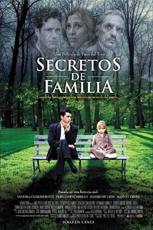 Family Secrets (2009) poster