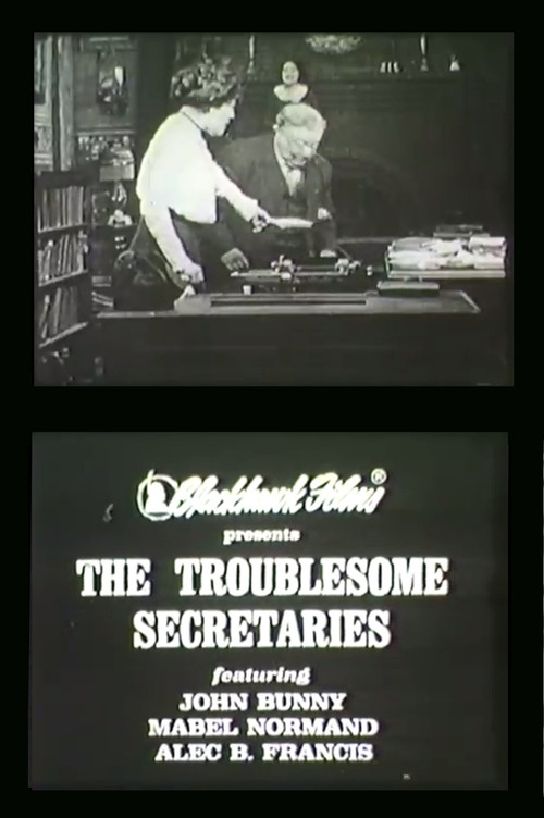 Troublesome Secretaries (1911) poster