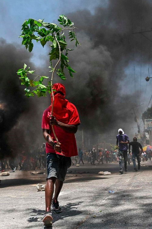 Haïti et l'enfer des gangs (2024) poster