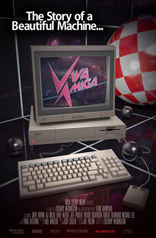 Viva Amiga (2017) poster