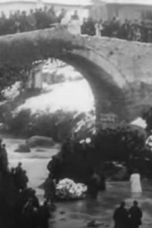 Proslava na vodici vo ber (1905) poster