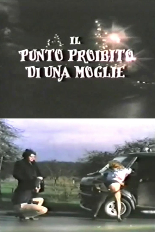 Une belle carrosserie (1981) poster