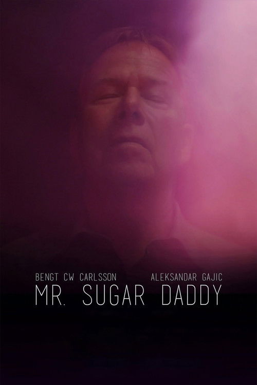 Mr. Sugar Daddy (2016) poster