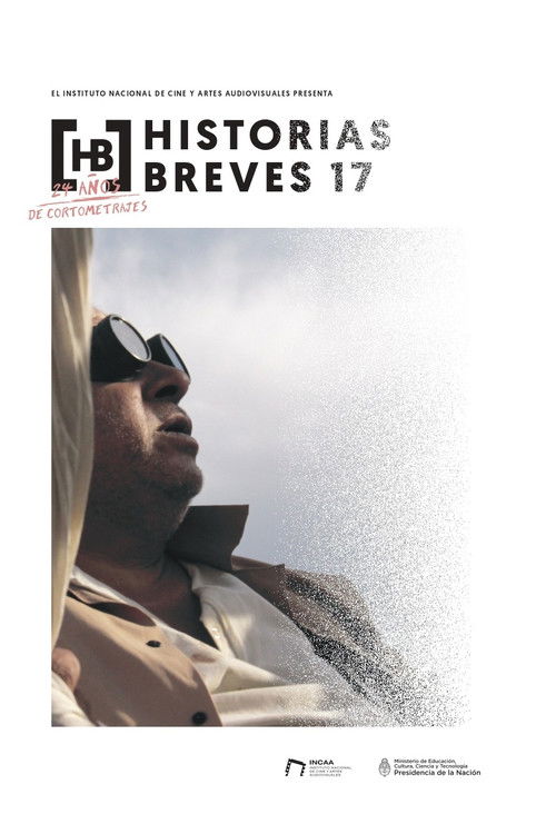 Historias breves 17 (2019) poster