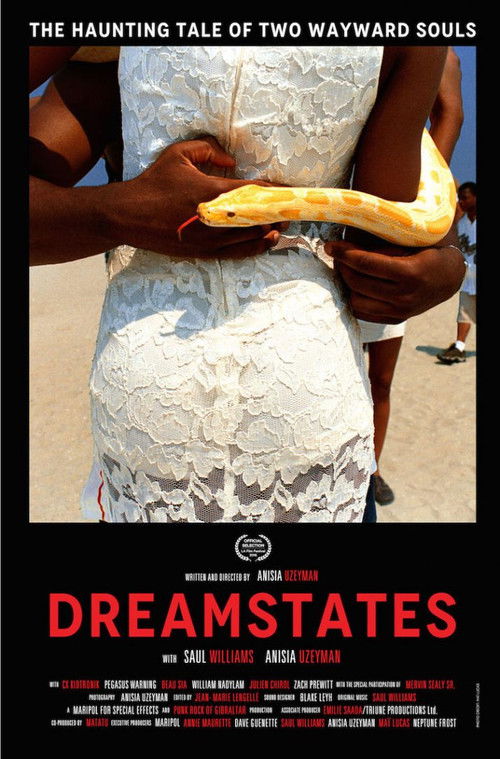 Dreamstates (2016) poster