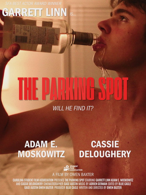 The Parking Spot (2026) poster