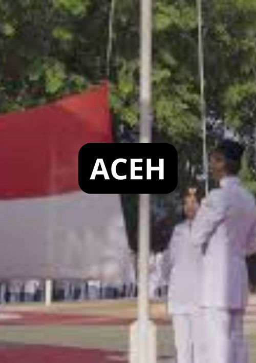 ACEH (2024) poster