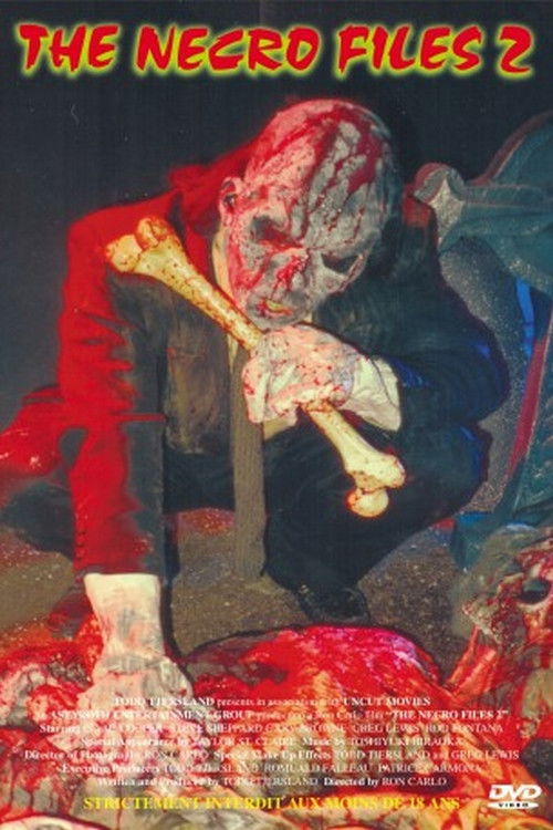 The Necro Files 2 (2003) poster