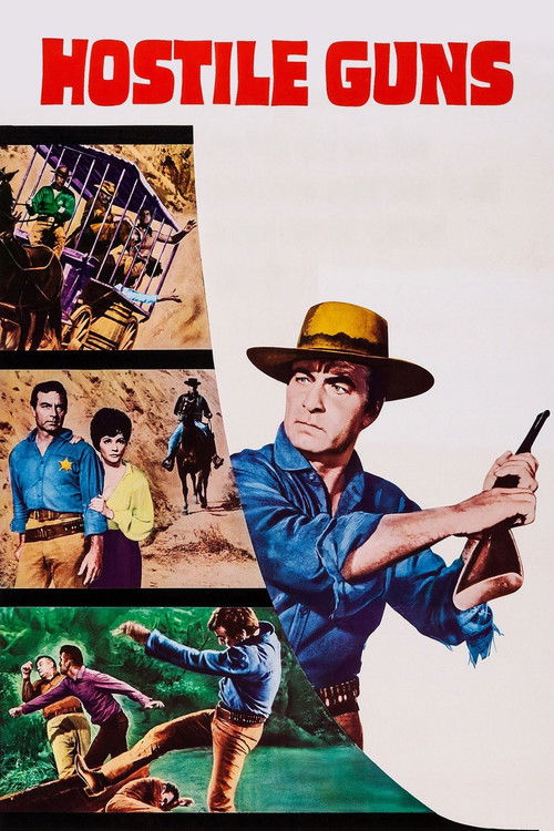 Hostile Guns (1967) poster